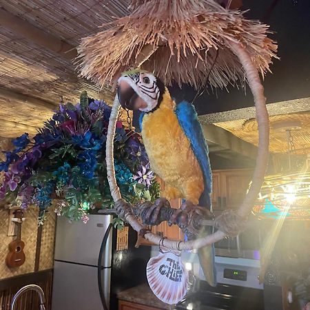 The Kondo Tiki Tampa Bagian luar foto